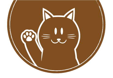 手を上げているNOVEWRITEの猫